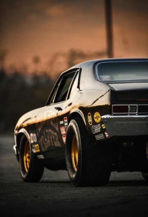 utwo:
69′Chevy Nova
© Trevor Yale Ryan