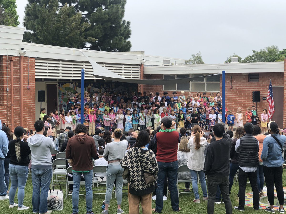 Dapplegray Principal tweet media