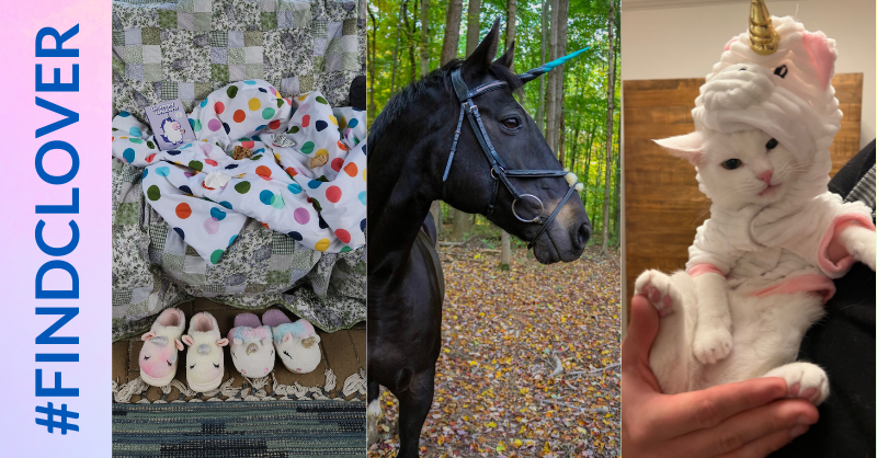 Make-A-Wish OKI tweet media