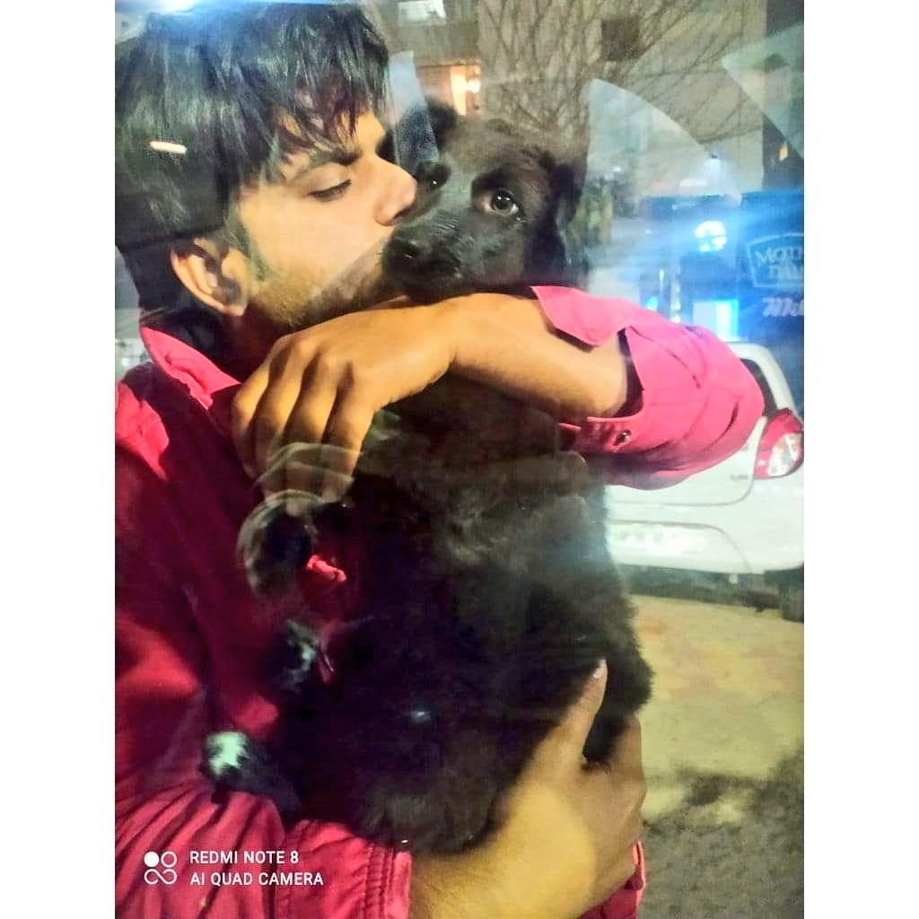 Drop your picture with a doggo friend ❤️❤️
#DogsTwitter