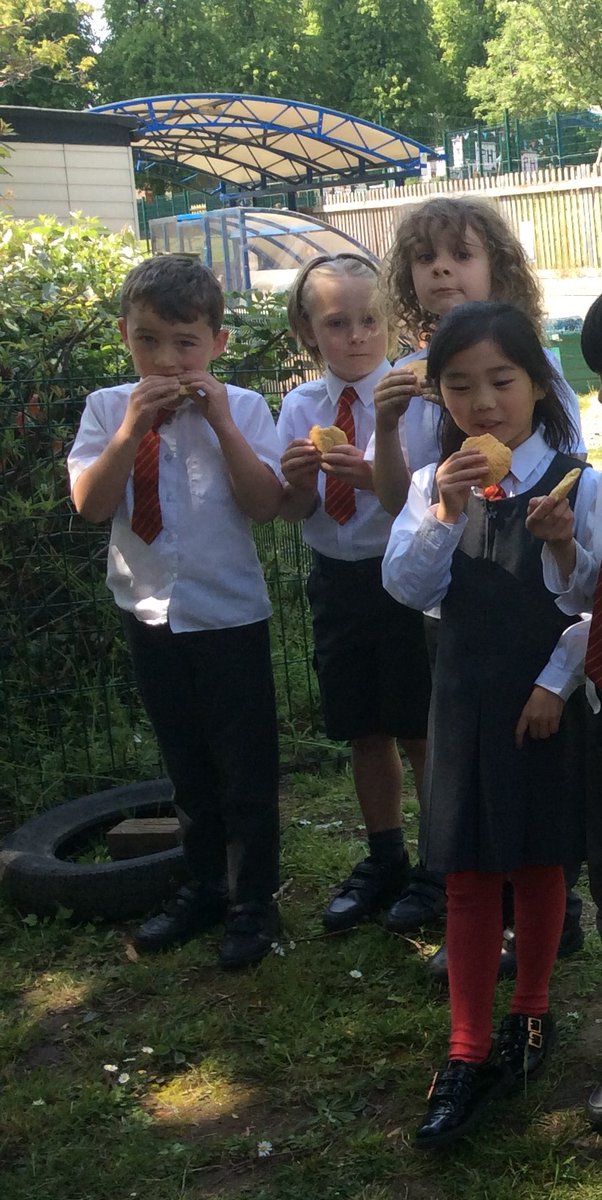 PerryHallOrp's tweet photo. Year 2 have been busy making 17th Century biscuits this week so we just had to fire up the cob oven again! Delicious! https://t.co/V714XG7t6E