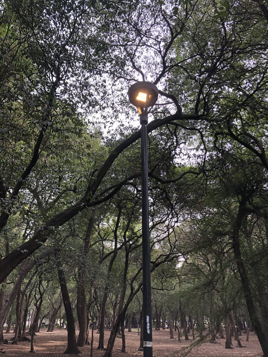 RobHgo's tweet photo. @MHcesac @GobCDMX  @mauriciotabe buen día (10:00 am) Luminarias prendidas en parque Gandhi. Favor de atender https://t.co/x6670BGR31
