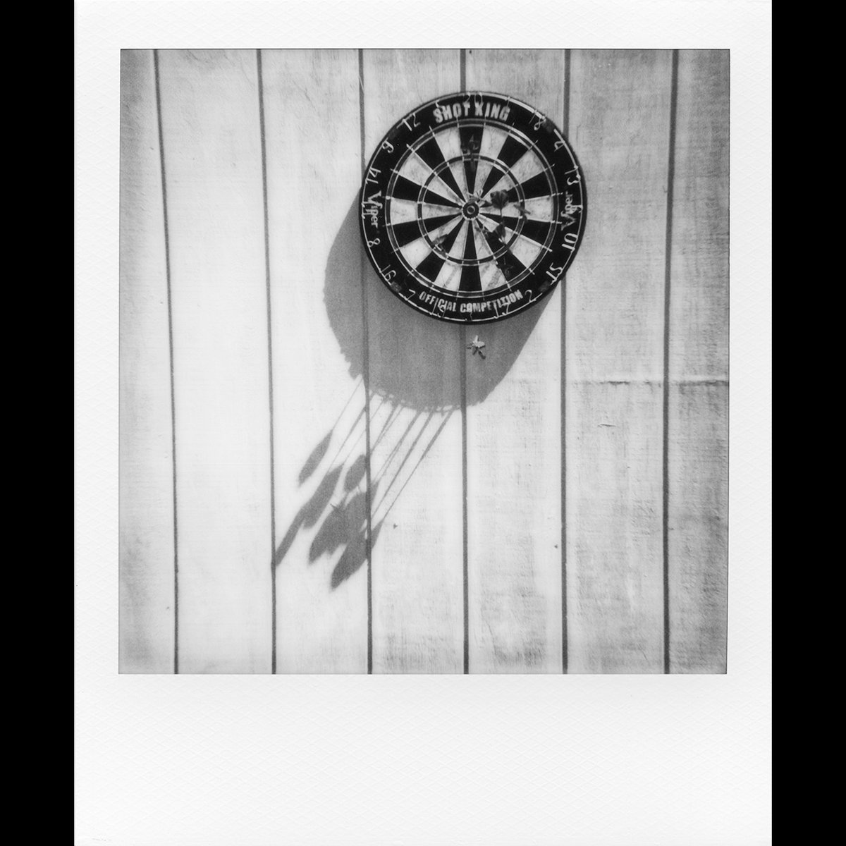 We have some instant gratification planned for you this Film Friday.  Today we are featuring Polaroid 600 in both its color and B&amp;W versions!⁠ And if you buy a Polaroid 600 camera at any point today, either on our site or in person, we'll throw in a pack of film for free!