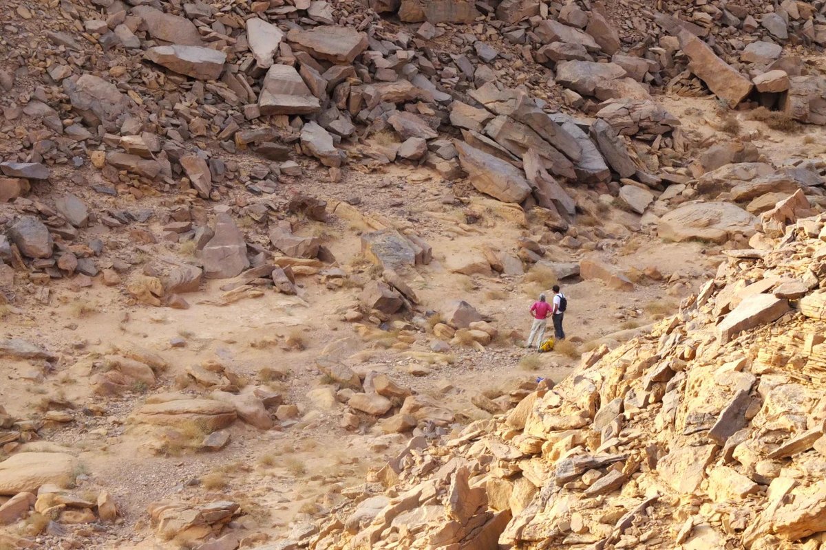 NuestroDiario's tweet photo. ¡UN DESCUBRIMIENTO INCREÍBLE EN EL DESIERTO! 😳🔎

Los humanos antiguos de la “Edad de Piedra” eran mucho más inteligentes de lo que pensábamos. Arqueólogos franceses descubrieron antiguos planos de “cometas del desierto”, un ingenioso edificio utilizado para atrapar animales salvajes en su interior.

Entérate en #NuestroDiario �� y descarga #NDPlay 📱 
📷 RRSS