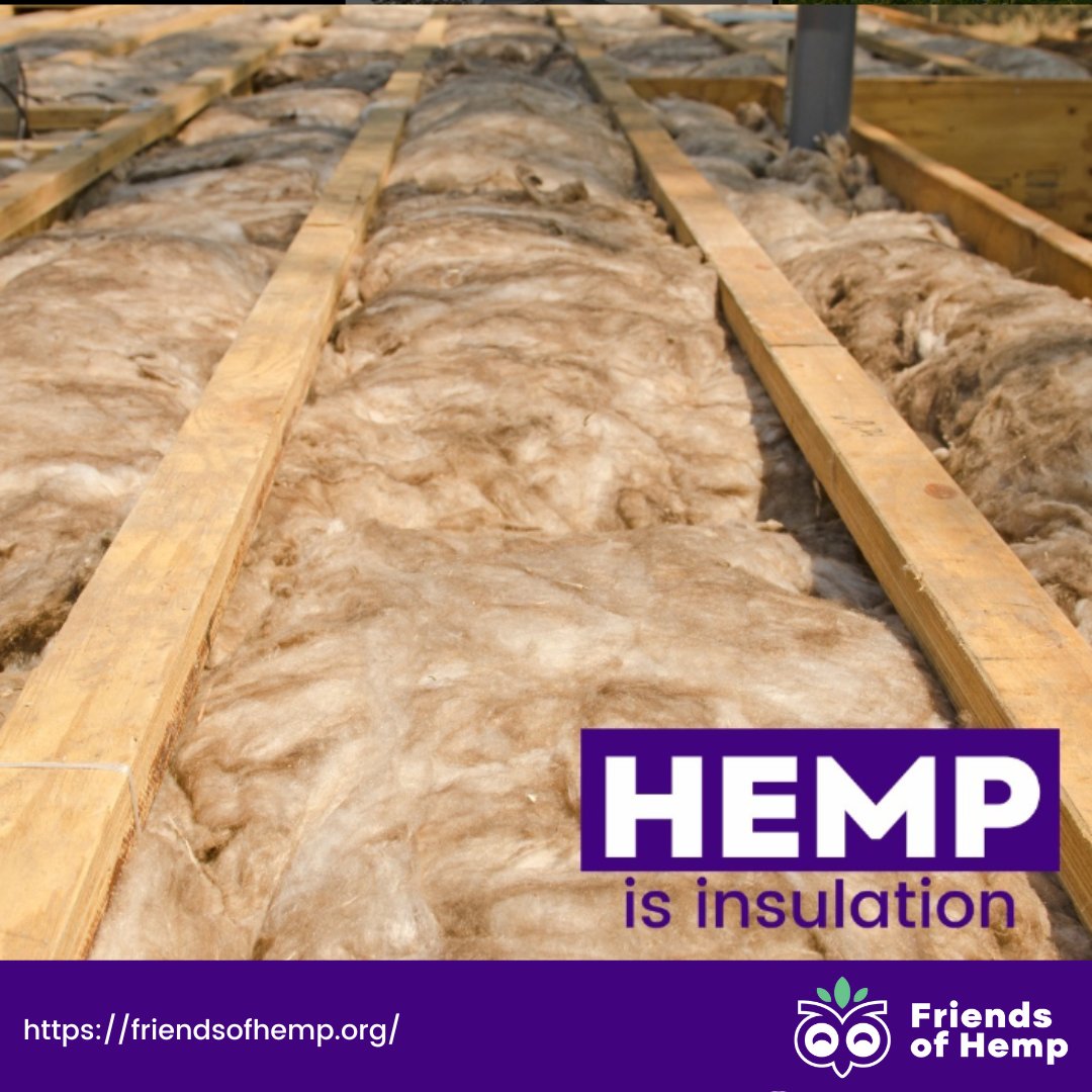 Friends of HEMP tweet media