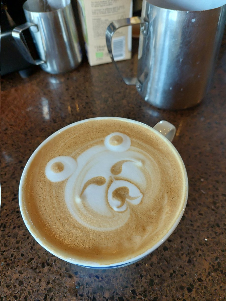 helloooitsnina's tweet photo. Katten en beertjes 🥰 #latteart https://t.co/IS76WAB08d