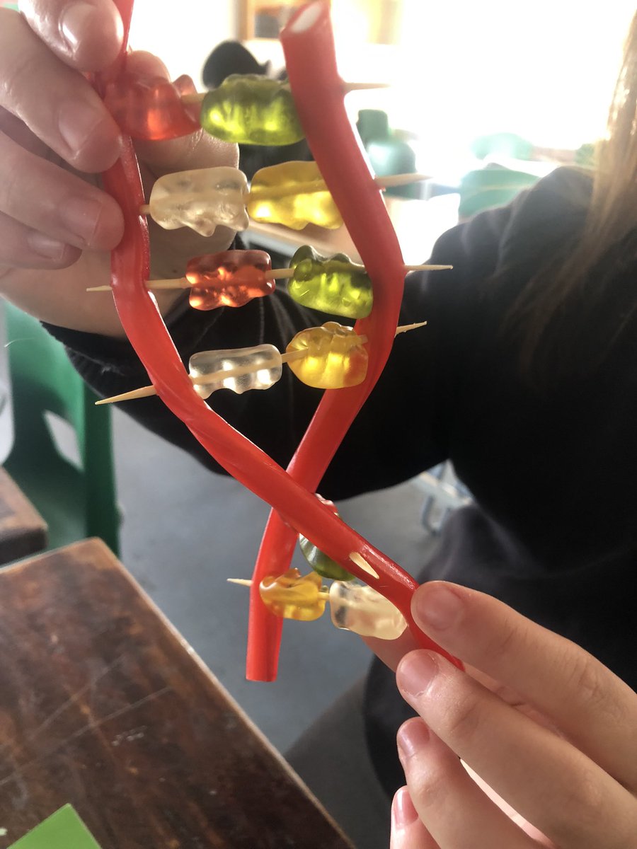 PatchwayS's tweet photo. Year 10 were challenged with making a DNA double helix out of sweets today! We think they more than succeeded #ambitious #respectful #excellent @olympustrust @patchwayc_s https://t.co/3lAOBJFpwj