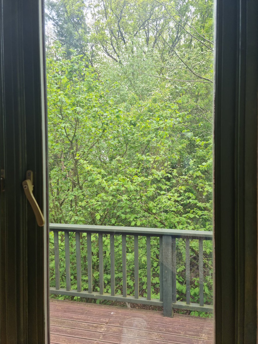 The perfect way to end #MentalHealthAwarenessWeek - on a #yoga retreat in #Cumbria. A real sense of #connection through the senses &amp;  with views of 🌳 through each window &amp; the surrounding stillness, I feel #calmer already  &amp; I've only just arrived 😀