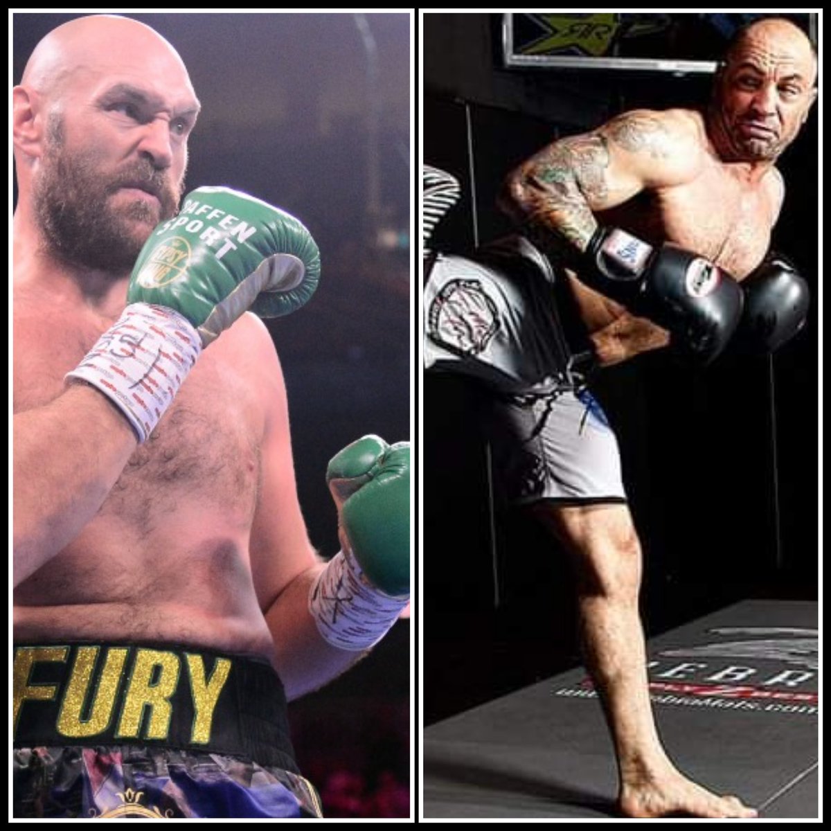 twrecks155's tweet photo. I think Joe Rogan takes Tyson Fury within 2 rounds (mma) https://t.co/y5Oco0E6G7