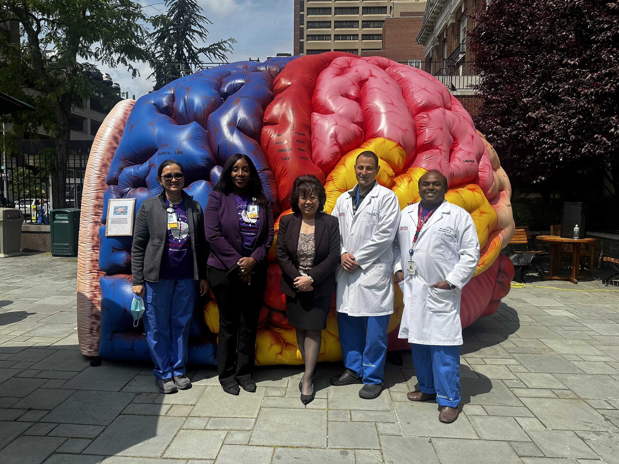 Montefiore Radiology (MontefioreRAD) / Twitter