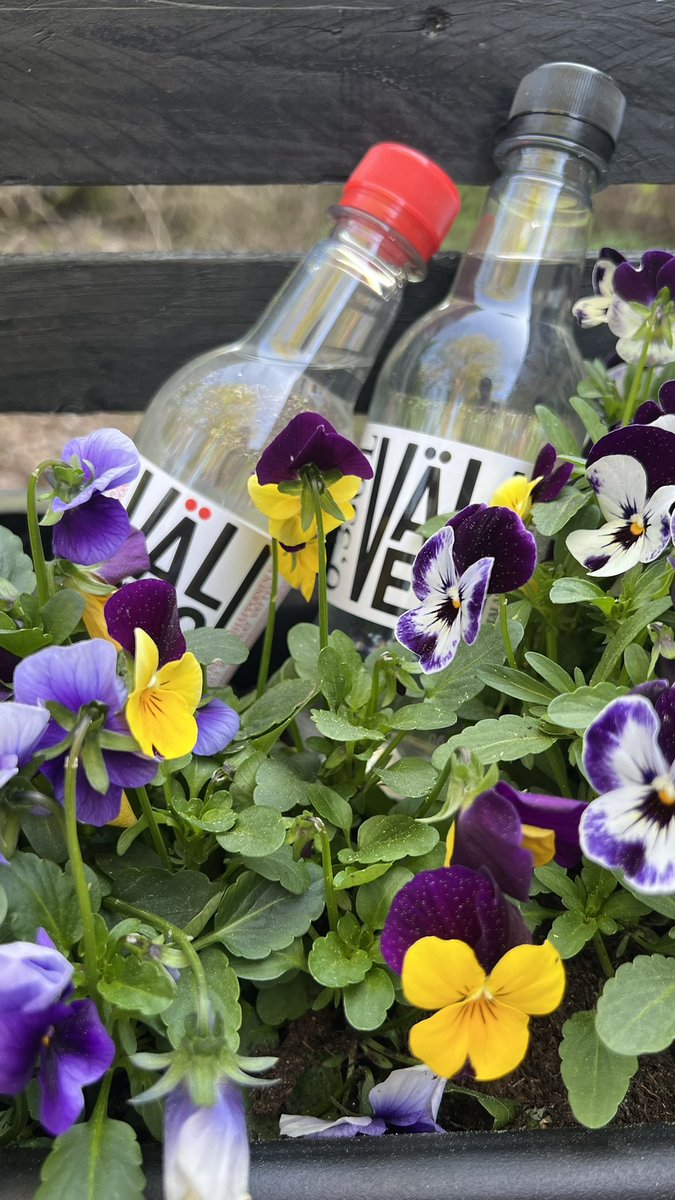 Varpu Göös tweet media