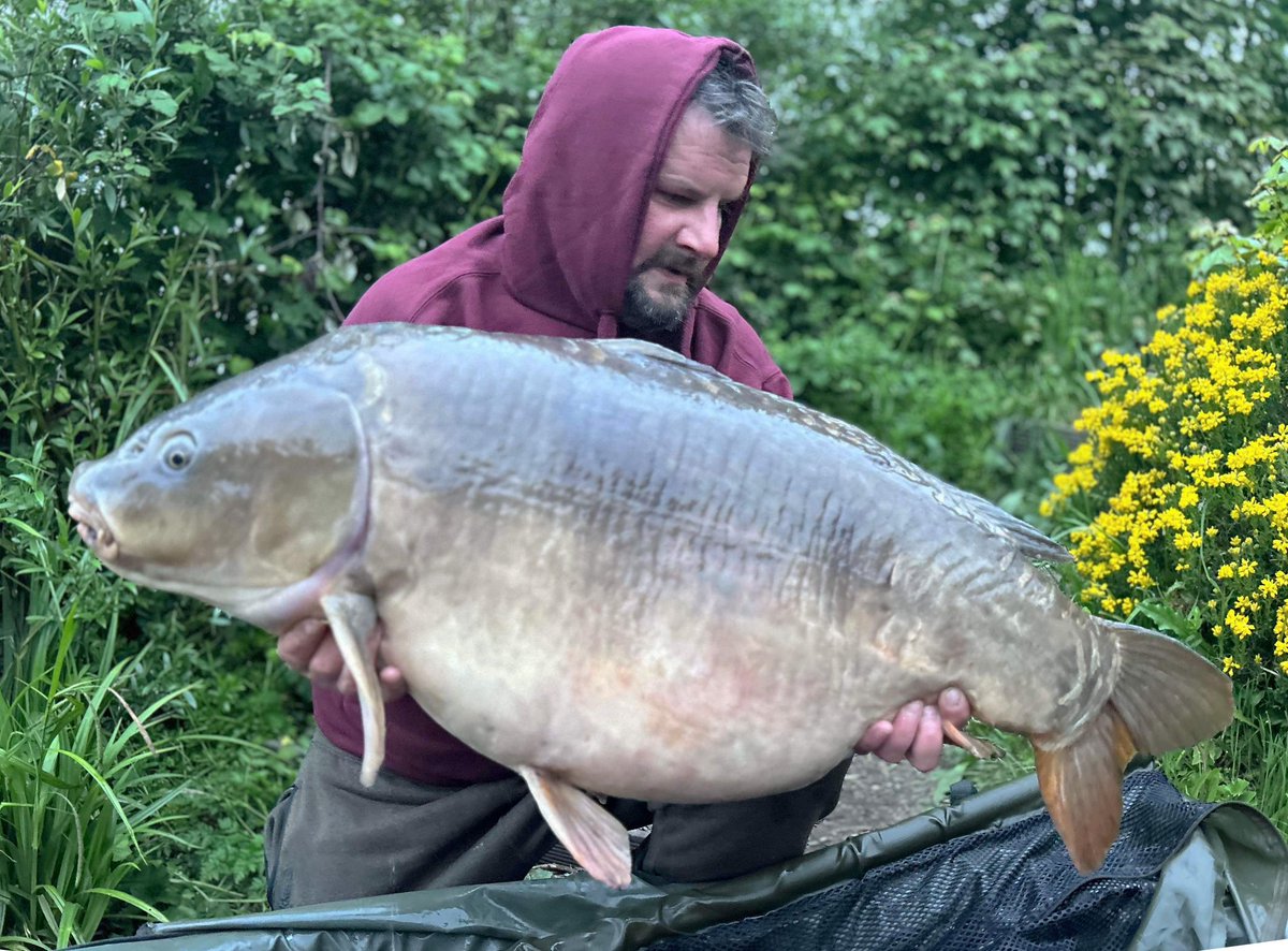 XXL UNIT from THE RISE .