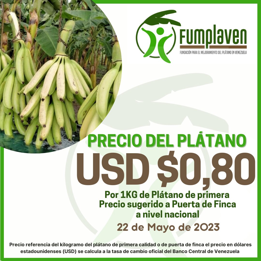 FUMPLAVEN's tweet photo. El precio sugerido a puerta de finca, 1KG de plátano de primera $0,80.

Precio del KG de plátano referencial a nivel nacional.
•
•
#plátano
#venezuela 
#elvigia 
#fumplaven 
#agrovenezolano 
#platano 
#cosecha 
#preciosemanal 
#productoresagropecuarios https://t.co/88stJcuZBu