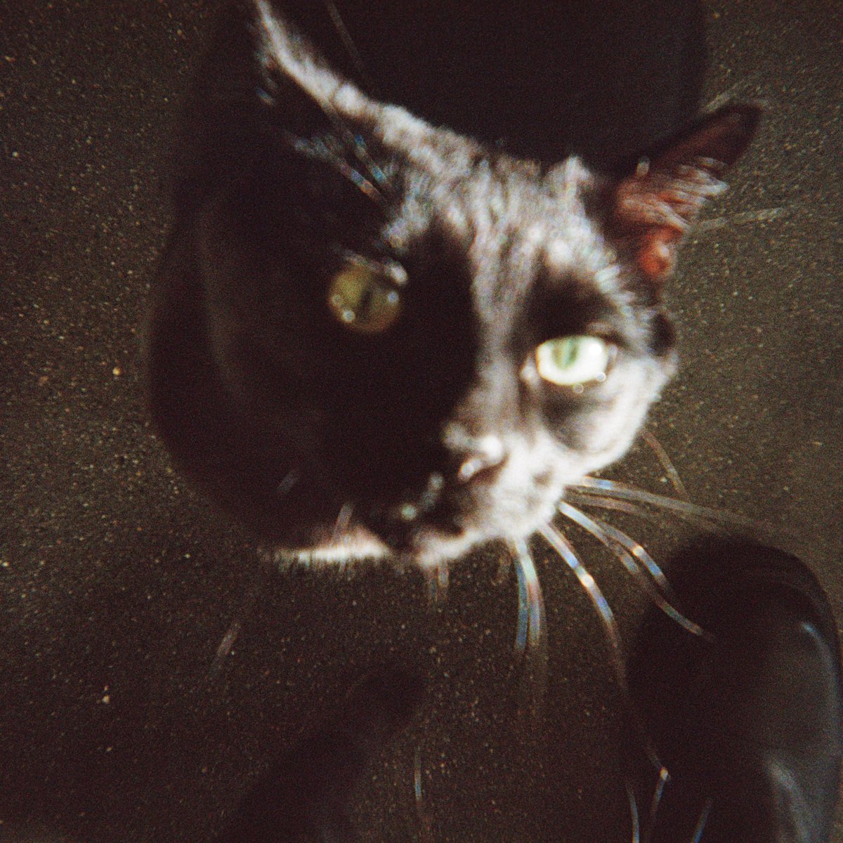 odonisodonis's tweet image. Our new single “No One Left” ft. @ACTORStheband is out now 

found.ee/ICONEP