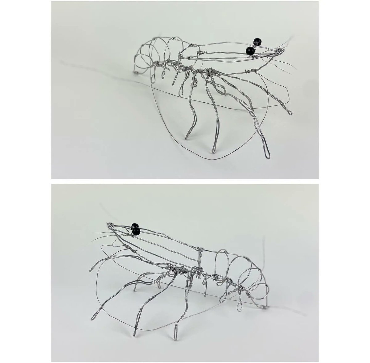 NtlPortfolioDay's tweet image. These wire creatures by sculpture students of @scotto_art (on IG) are *chef's kiss* 🦐 🐭 🐿️ 🦚 🐛 🐸 👍 #wiresculpture #wireart #wireinsects #wirecreatures #3ddesign #sculpture #sculptureclass #highschoolart