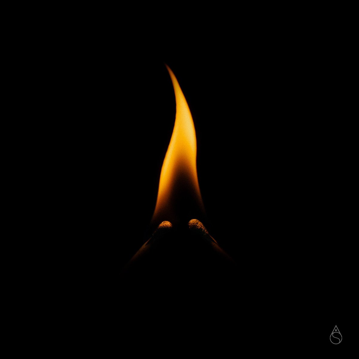 adam stern tweet media