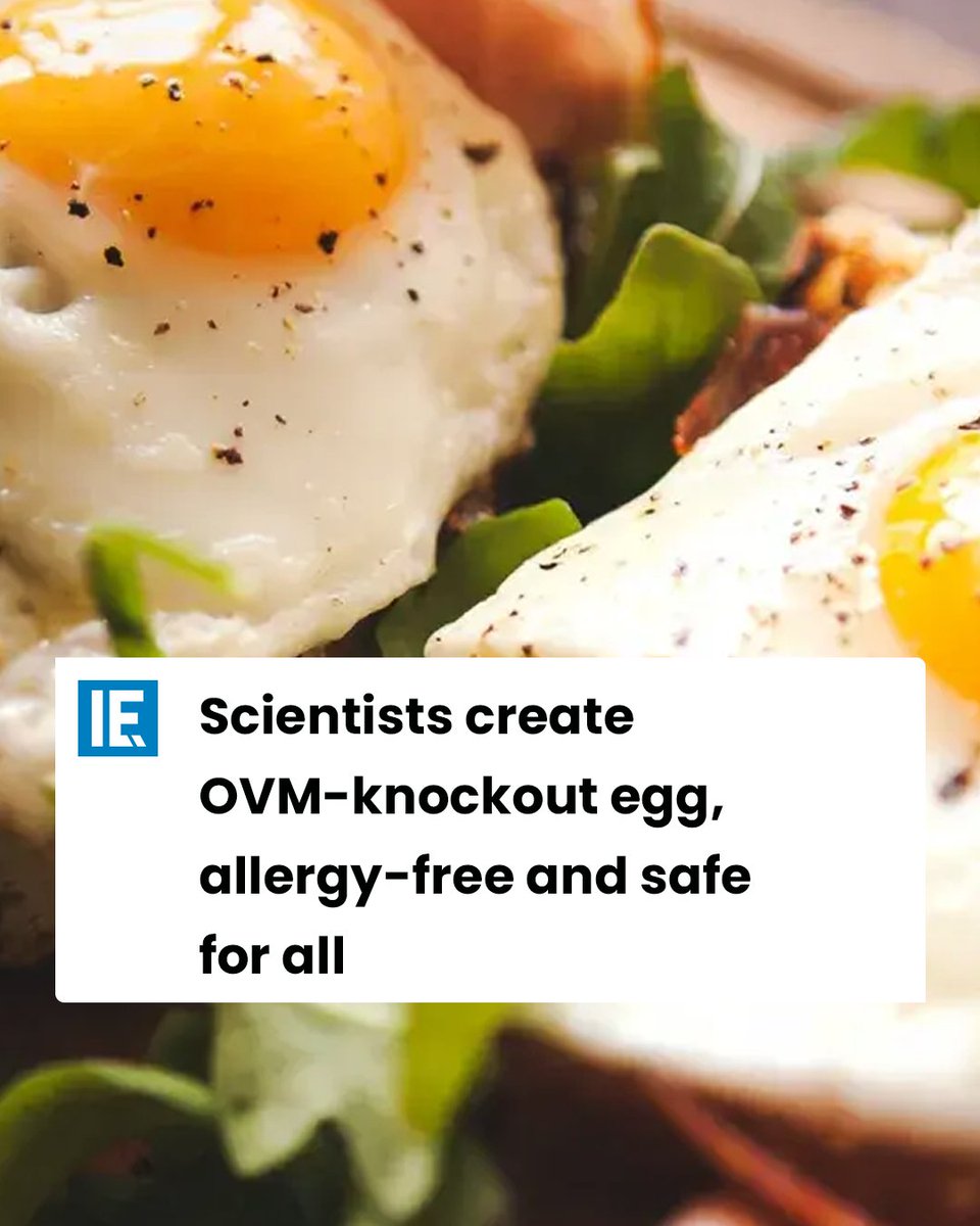 Interesting Engineering on Twitter "Researchers explore making eggs