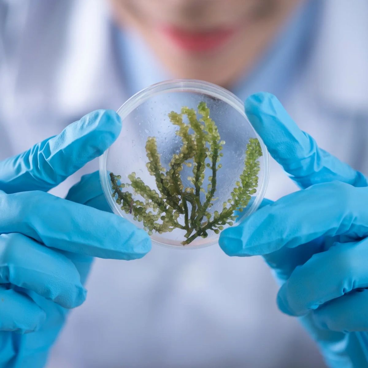 ClimateGlobe's tweet photo. We do what we do in hopes of inspiring the next generation of scientists, engineers, and passionate citizens who will stand up for the environment. Together, we can all build a better future. https://t.co/6jDEQA6ucK