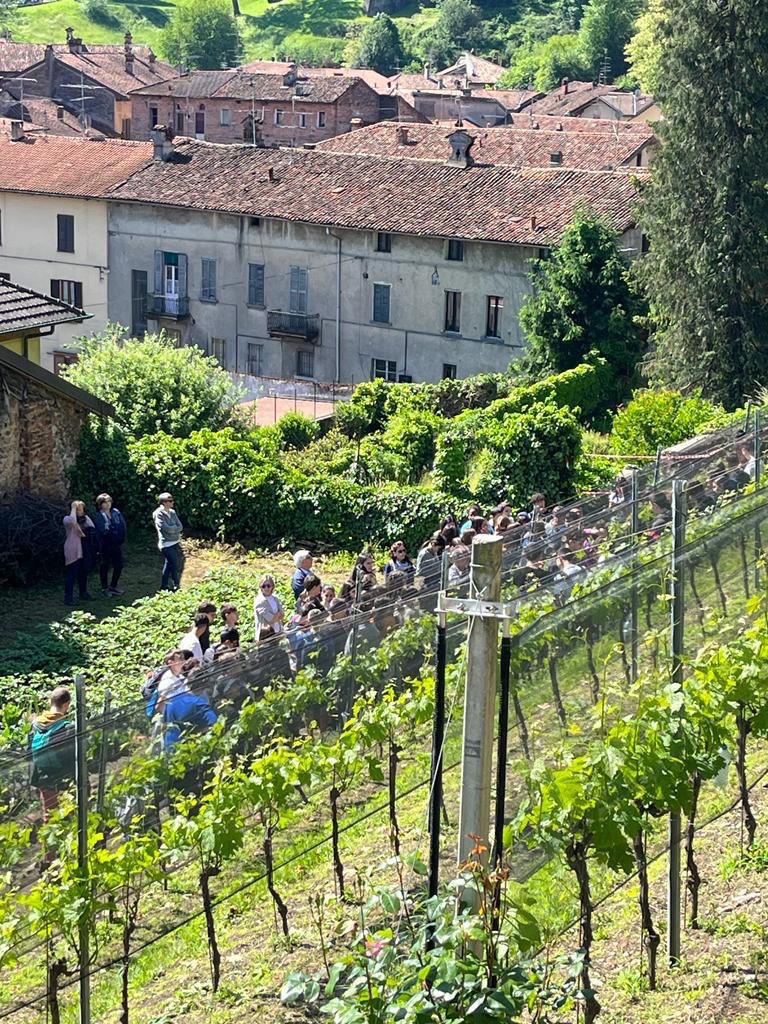 Comune di Castiglione Olona tweet media