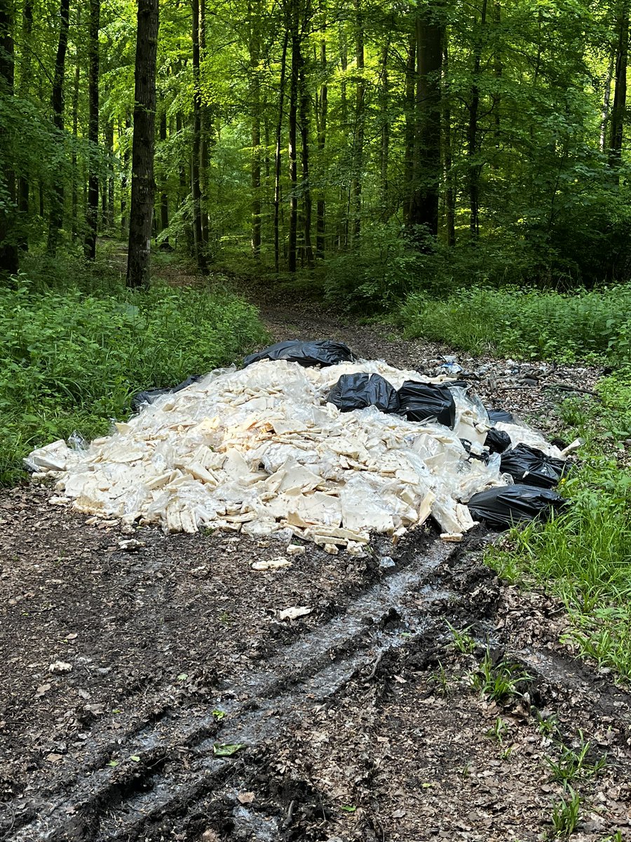 Défigurer et polluer les forêts pour un peu plus de profit !! Quelle tristesse en forêt d’Halatte dans l’Oise.
