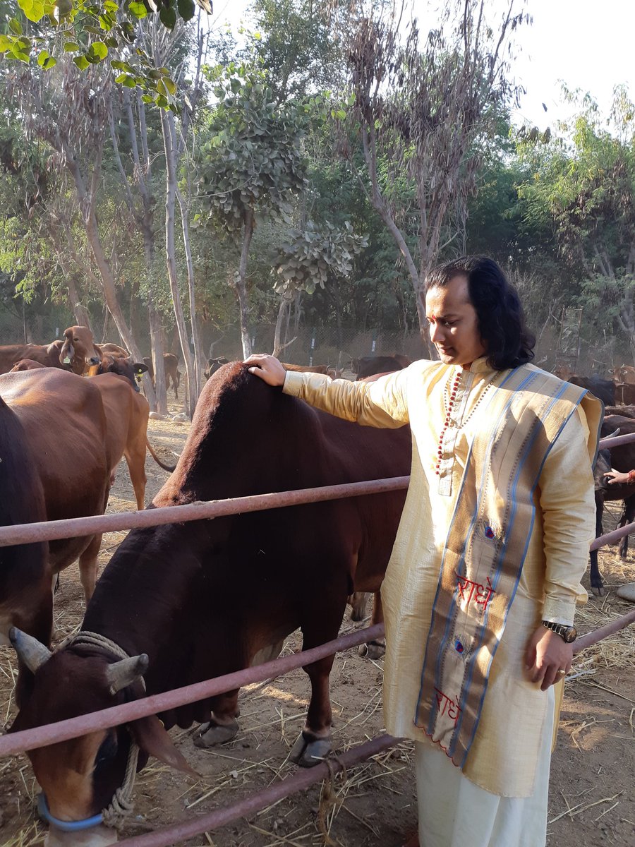 Gau_Maa_Dham's tweet photo. आंखो से आशु निकल मैंने जब ये अपनी आंखों से देखा,
तपती धूप में पानी न मिलने पर ये गौ माता जोर जोर से आवाज मार रही थी
सभी से निवेदन बेजुबानो के लिए गर्मी में पानी की व्यवस्था जरूर कर दे
#गोमाता #JammuKashmir #जम्मू #ercp_नेशनल_प्रोजेक्ट_बनाओ 
#GAU_MAA_DHAM_CHARITABLE_TRUST #GMD_CT https://t.co/6eCmlIZjVB