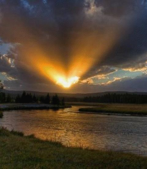 Nicholas DiNubile MD tweet media