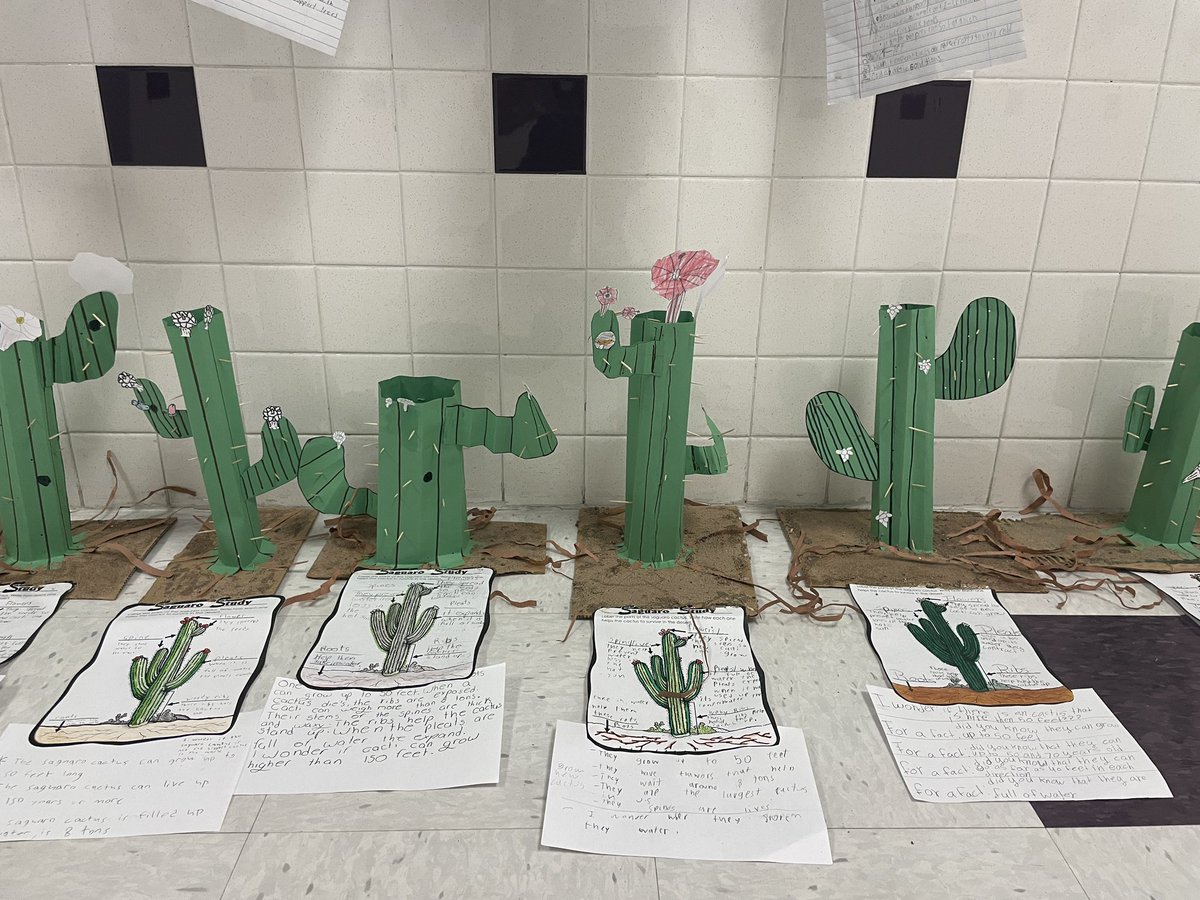 Plant Adaptations!🏜️ 
Exploring how structures help desert plants thrive in their environment
#saguarocactus 🌵#knights