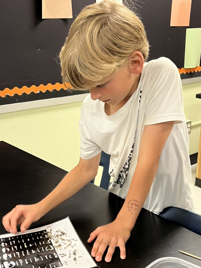 Megan Flaherty tweet media