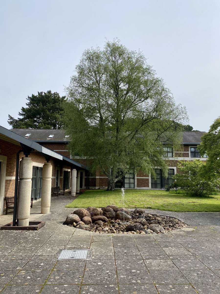 Spring Research Day for <a href="/NIHRresearch/">National Institute for Health and Care Research</a> ACFs and ACLs, hosted by <a href="/UniofExeter/">University of Exeter</a>! Presenting an update on progress with my ACF on neuro-imaging, radiomics and AI; learning from colleagues about their own experiences.