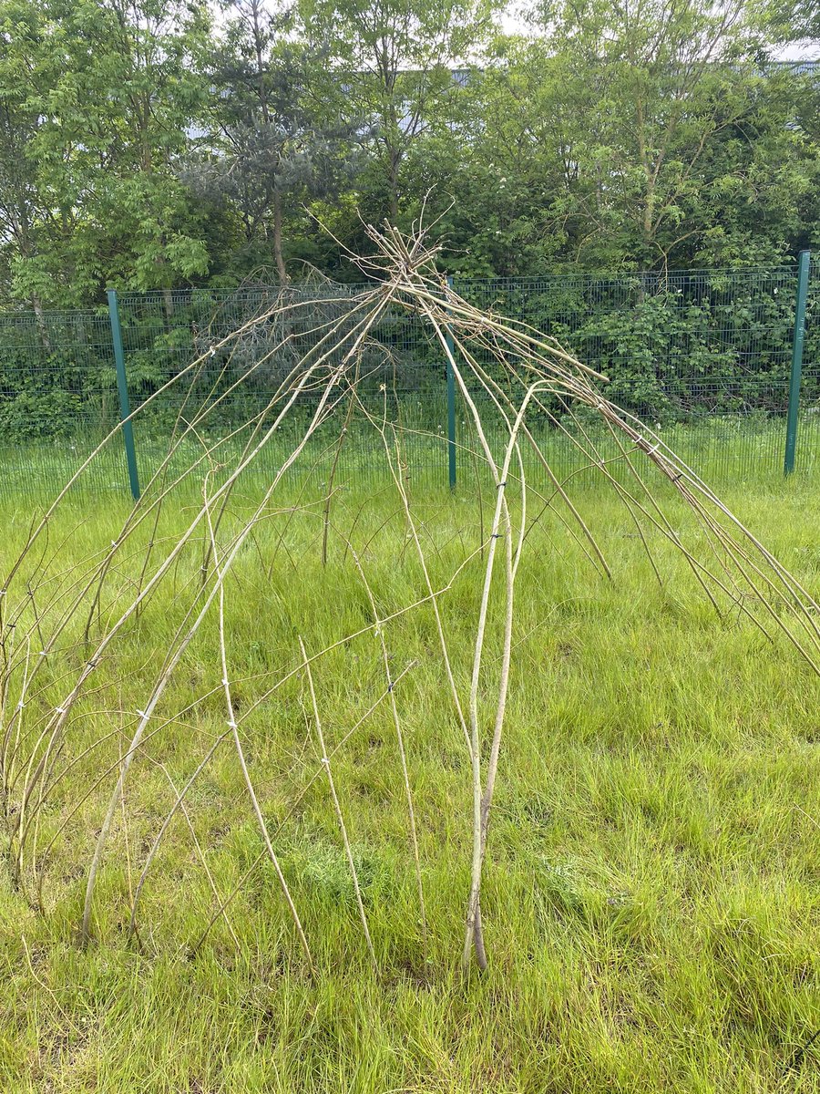 MissNicholson_'s tweet photo. Spent time after school starting to build a willow dome for Forest School! 🌲 🌳 Can’t wait for the children to see it next week 😁 @FradleyPrimary #ForestSchool https://t.co/7X0jsq1Aj8