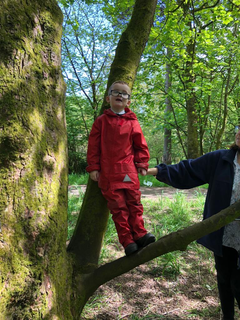 TheHiveStBen's tweet photo. The Hive are delighted to be back out in the outdoors with @SevenLochs and @TCVScotland. The children are learning so much about the outdoors and having so much fun too 🫶🏼🌳@StBenedictsPS @GlasgowNurture https://t.co/RjBCzKKg3I