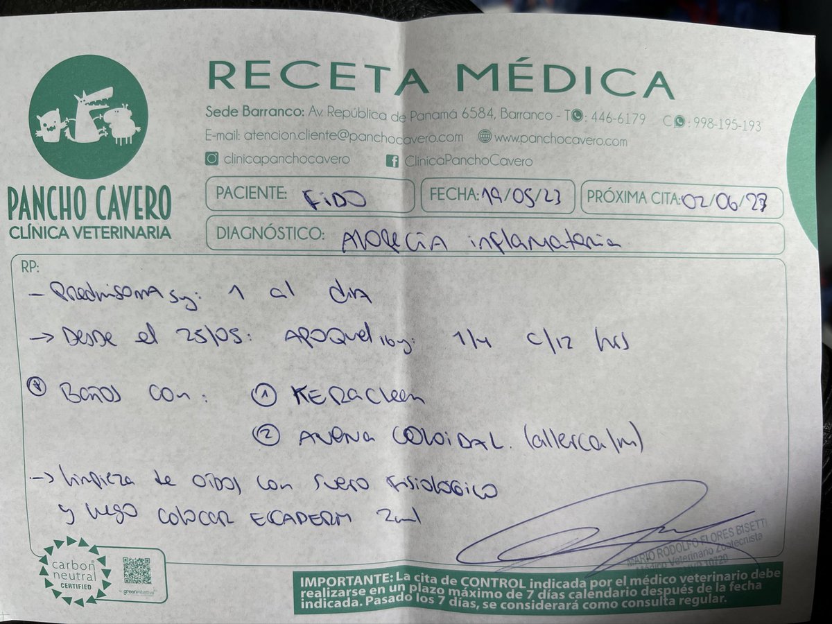 peravi's tweet photo. Ayuda para fido 🙏🏽 esta mejorando pero necesitamos hacerle sus baños medicados 3 veces por semana S/30 soles c/u asimismo hay que comprar estos nuevos champú que ayudará con su mejoría yape/plin: 922912750 https://t.co/Eh3QQanZpz
