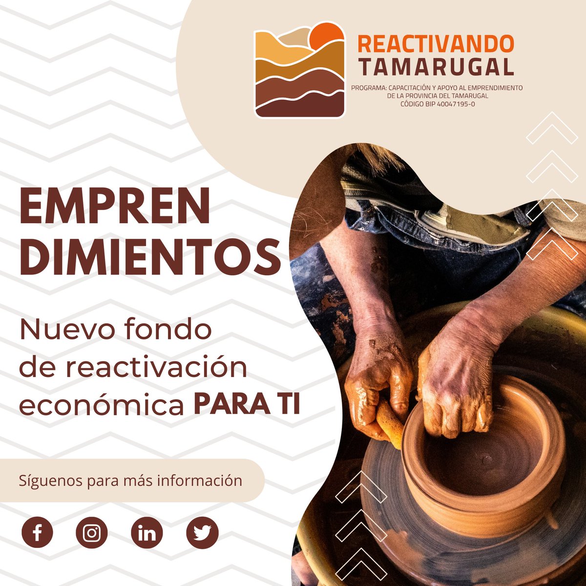 RTamarugal's tweet photo. #ProvinciaDelTamarugal Un nuevo fondo de reactivación económica para ti, para que sigas construyendo tu futuro. 

Síguenos para estar informad@ https://t.co/lDLBMC2LPm

@Inacapinos @INACAPiquique @HubTarapaca
@MunicipioPica @pozoalmontemuni @IM_HUARA @Muni_Camina @ColchaneChile https://t.co/8Pz2ulFKgg