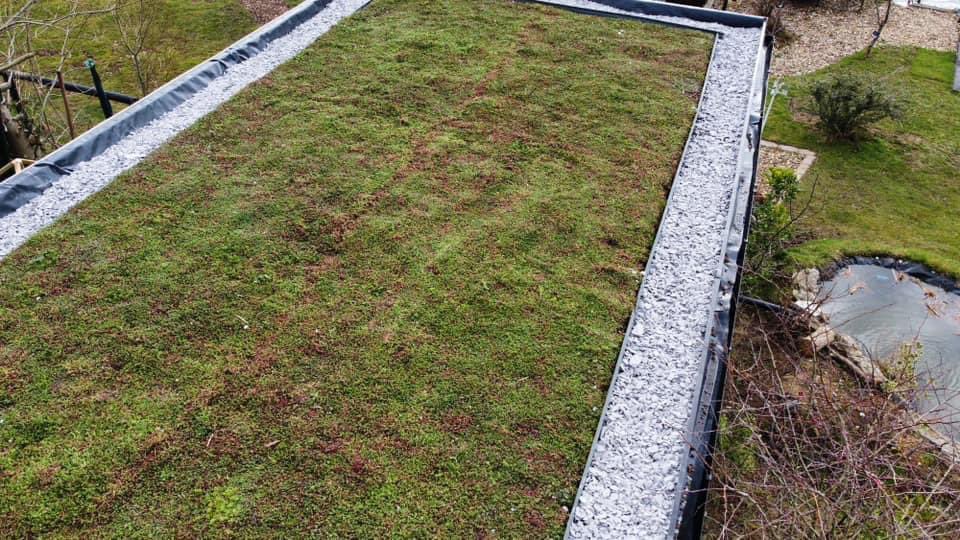 ESSEXCARPSYNDICATES tweet media