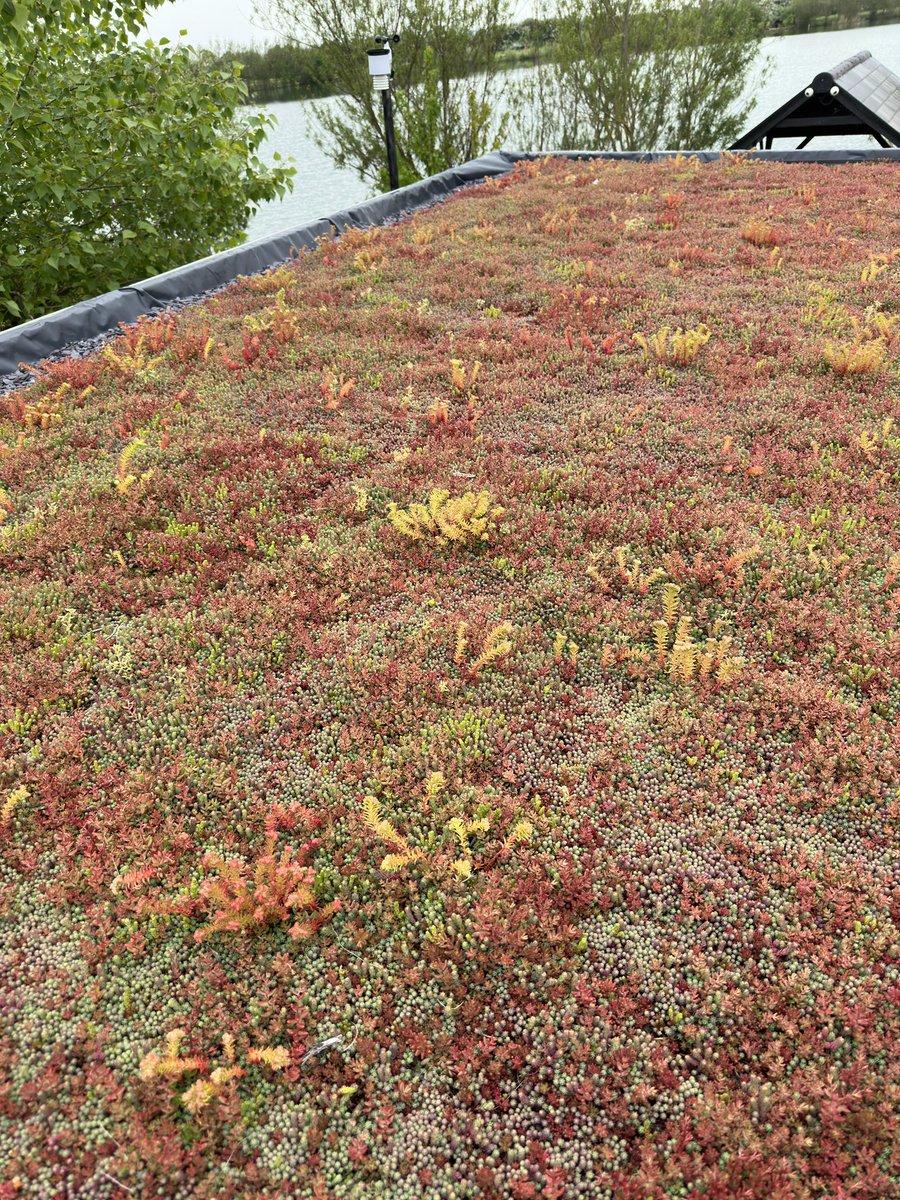 First pic FEBRUARY second pic today 😎