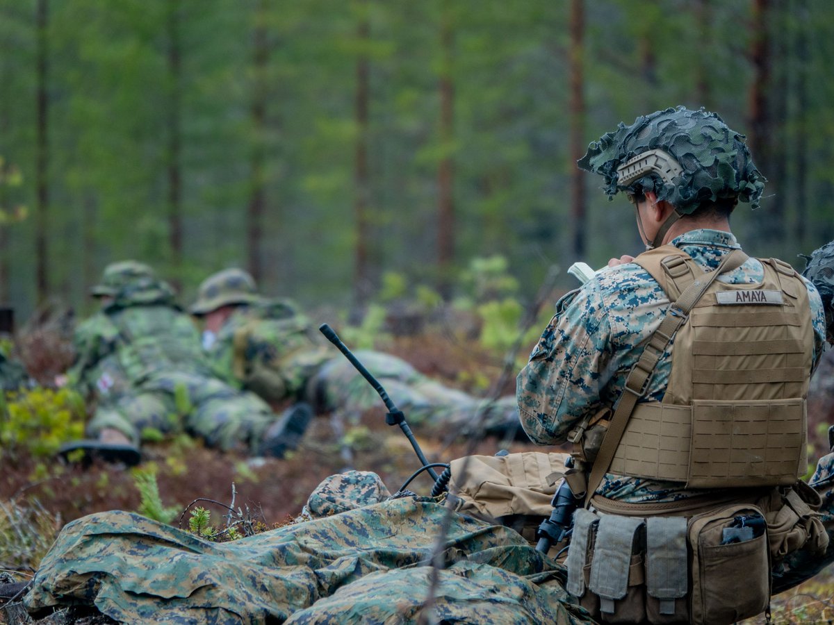 Maavoimat's tweet image. In the exercise #LIST23 joint operating was conducted at a forward observation post. 🇫🇮 Joint Fire Support Team was strengthened by 🇺🇸 @USMC FCT and 🇬🇧 JTAC. @FinnishAirForce F/A-18 Hornet carried out the air-to-ground delivery to the jointly acquired target. #StrongerTogether
