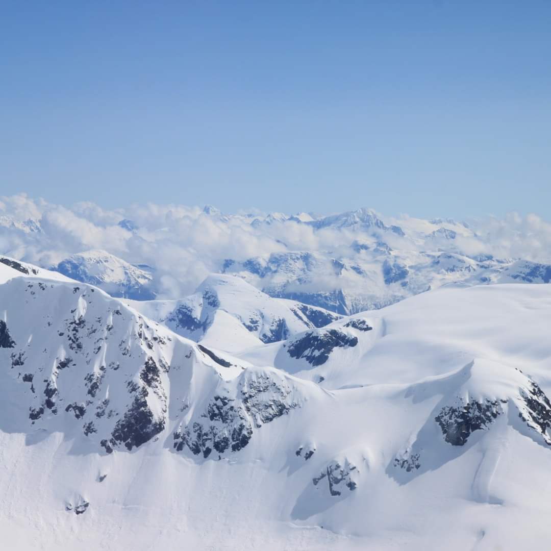 What's better than the pure white views of Alaska? 🗻 I can help you book that next trip!  memorymakertravel.com 
#MemoryMakerTravel
#Alaska
#explorealaska #alaskanadventures