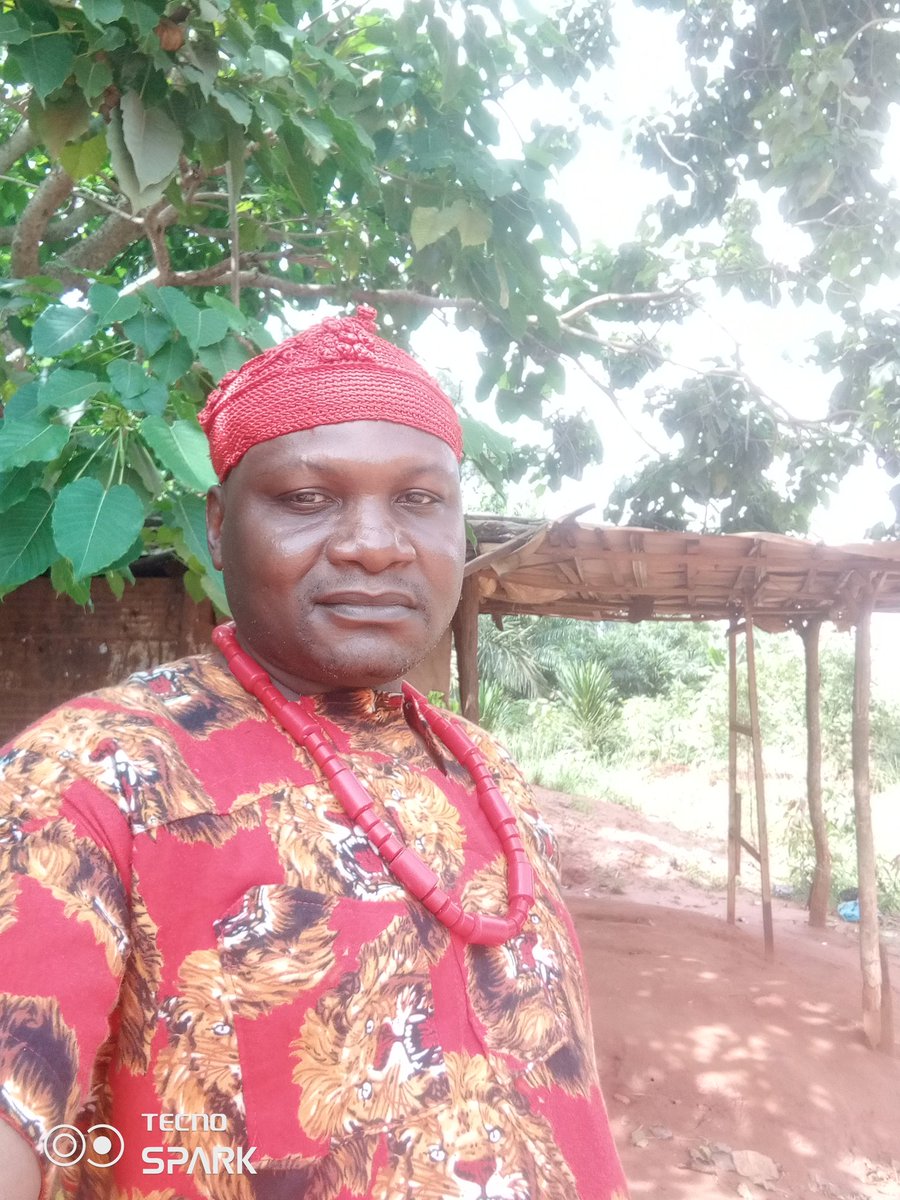 dudedami's tweet image. Everything working for my favour