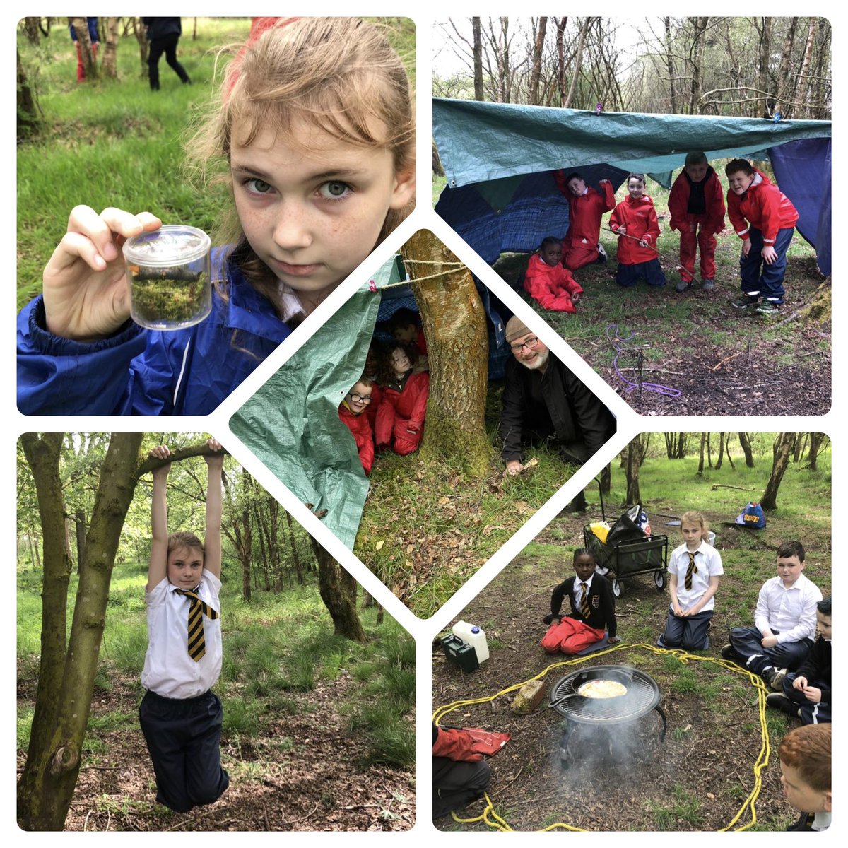 TheHiveStBen's tweet photo. Exploring the outdoors. Climbing and building shelters and making snacks with fire 🔥 Oh! What next for the Hive gang ?👏🌳🔥🌟@StBenedictsPS @GlasgowNurture Thank you @SevenLochs and @TCVScotland https://t.co/pLXRdZ0lrm
