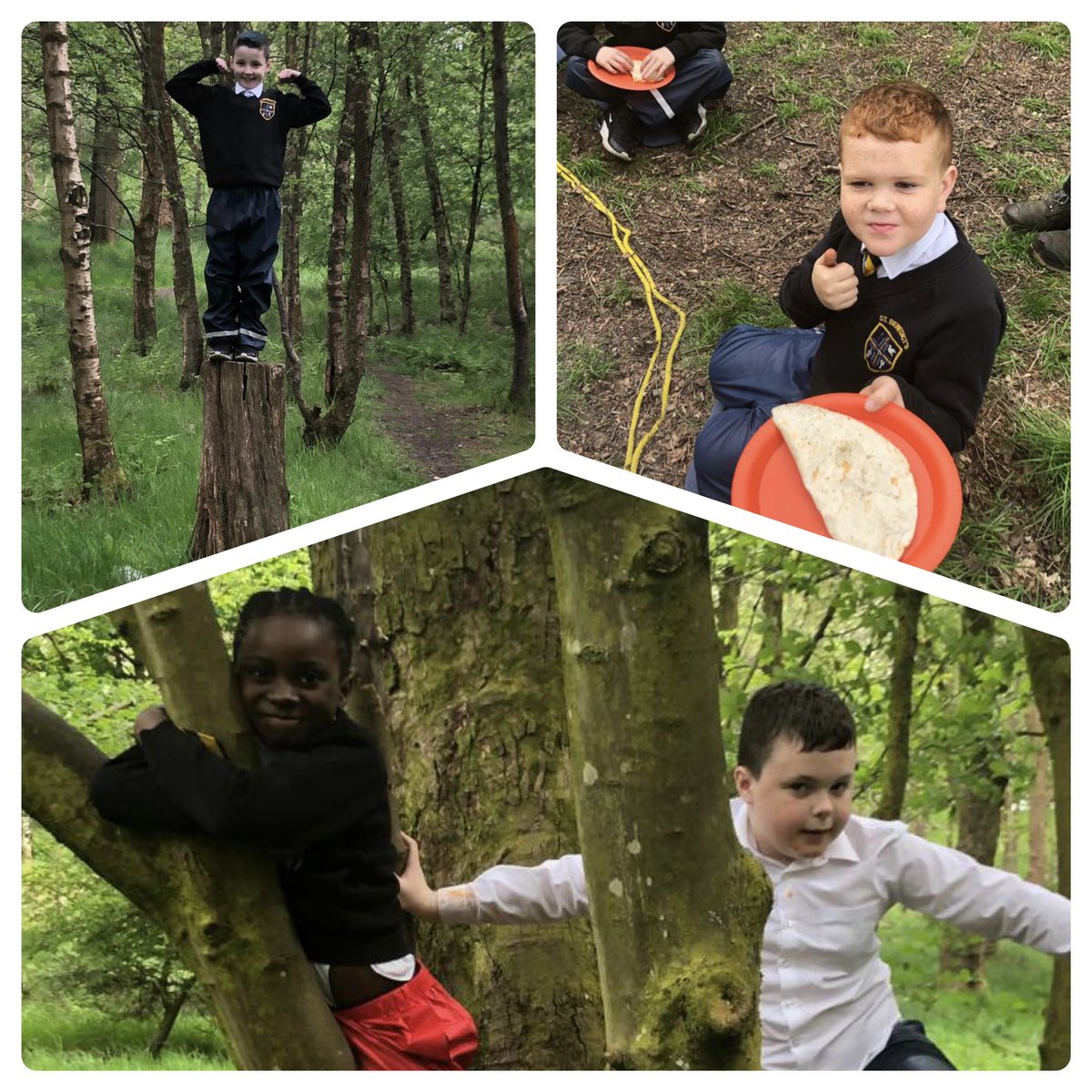 TheHiveStBen's tweet photo. Exploring the outdoors. Climbing and building shelters and making snacks with fire 🔥 Oh! What next for the Hive gang ?👏🌳🔥🌟@StBenedictsPS @GlasgowNurture Thank you @SevenLochs and @TCVScotland https://t.co/pLXRdZ0lrm