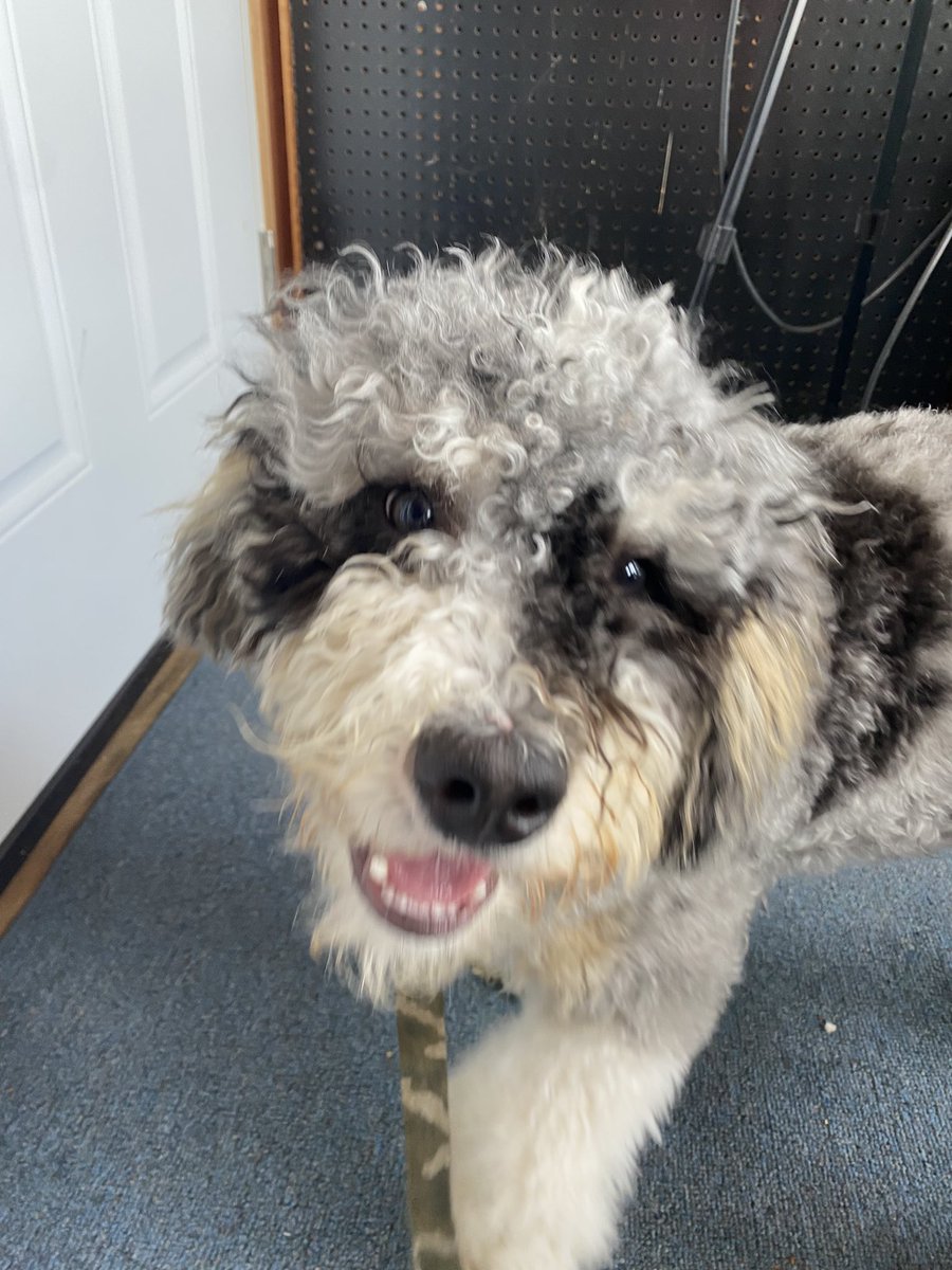 Tim Nolan tweet media