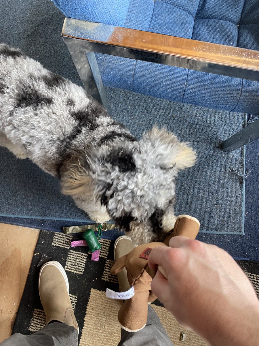 Tim Nolan tweet media