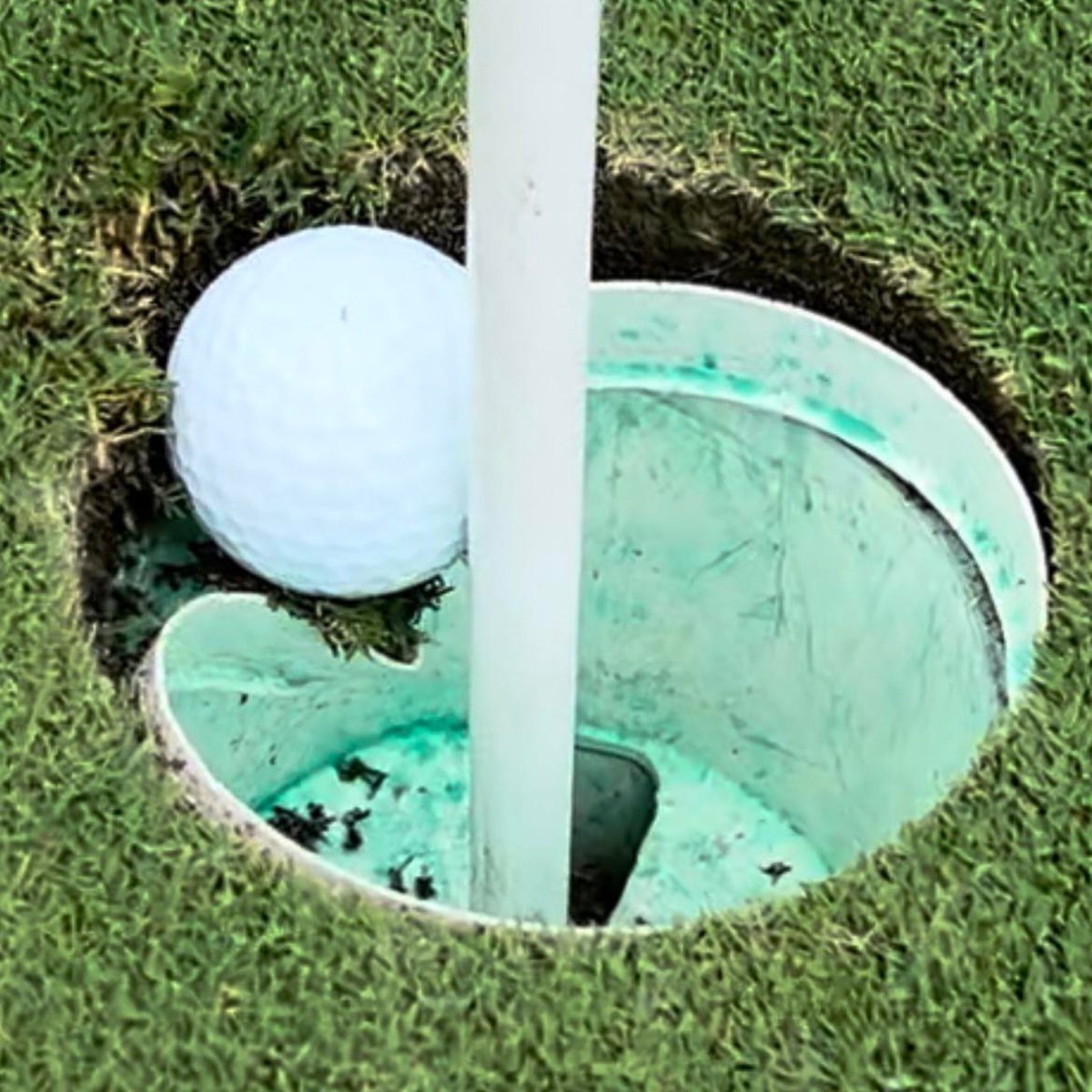 Fore Play tweet media