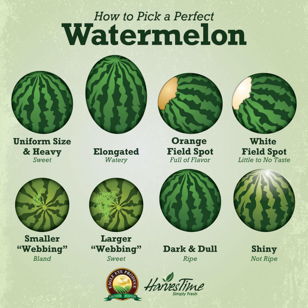 LittleJoesBoots's tweet photo. When you're looking for a watermelon follow this guide to help you find the perfect one! https://t.co/cvgZUej1ly