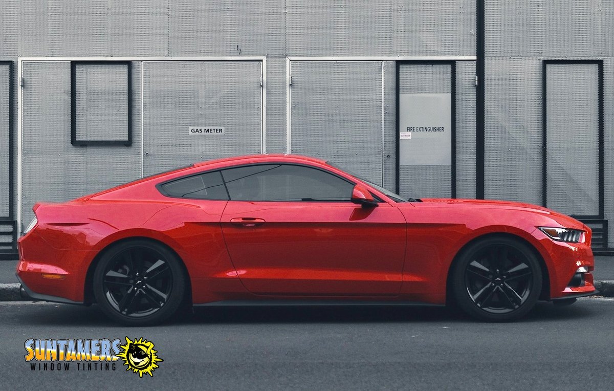 Suntamers1's tweet photo. Thinking of having your vehicle windows tinted? This article might answer some questions you may have. If you would like more information or to discuss having your windows tinted, give us a call.

https://t.co/Mxrbu8cqCz

#windowtint #windowtinting #faq #frequentlyaskedquestions https://t.co/RaekTS1c74
