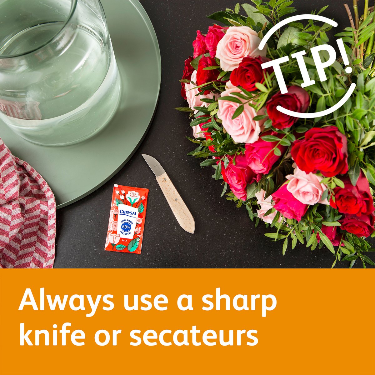 Chrysal Benelux tweet media