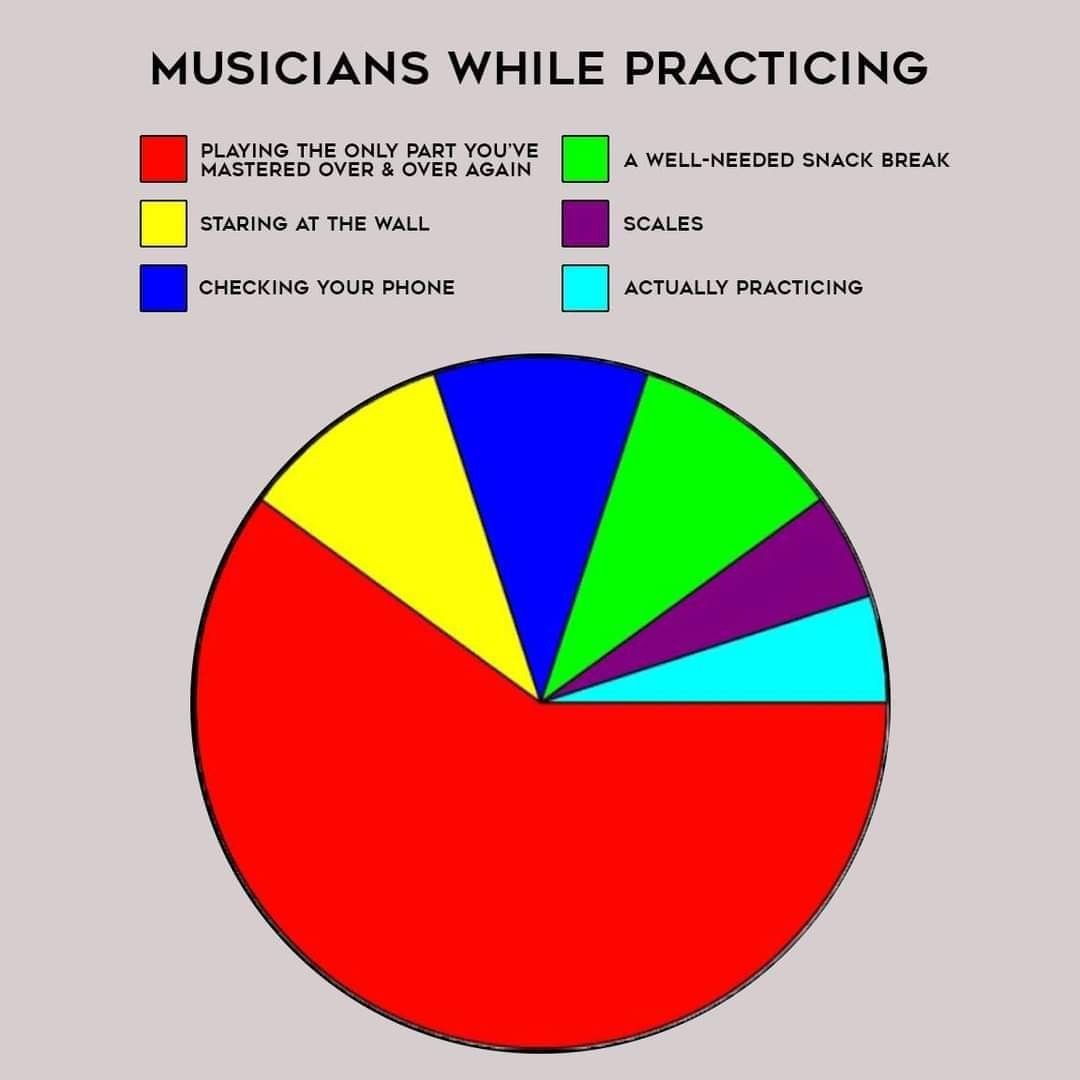 AmericanMusicIn's tweet image. You know the mantra: practice makes perfect!  #musicianhumor #americanmusicinstitute #musiclessonsforkids #chicagoyouthorchestra