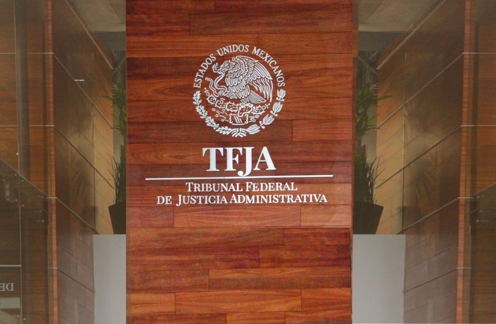 Tribunal Federal de Justicia Administrativa on X: "Recordó que el @TFJA_Mex_Ofi cuenta con un cúmulo de facultades para dar oportunidad a la ciudadanía y a las autoridades, para defender sus causas. https://t.co/HPbUznPZMu" /