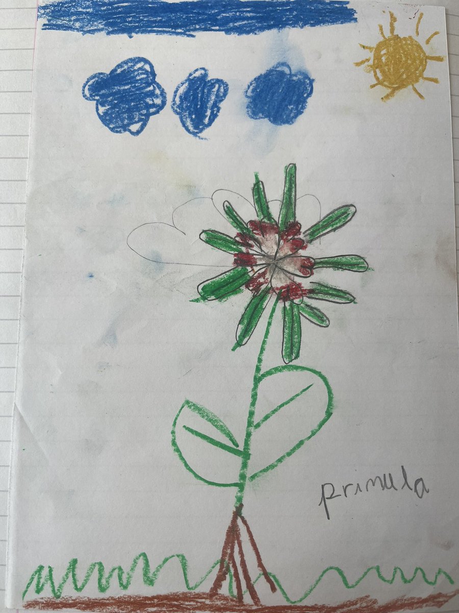 Class3_stmarys's tweet photo. Class 3 have drawn some beautiful wild plants this week in science. The use of oil pastels were really effective for the finished product. Can you remember a wild plant? @stmarysderby https://t.co/gT8c7GvtPu