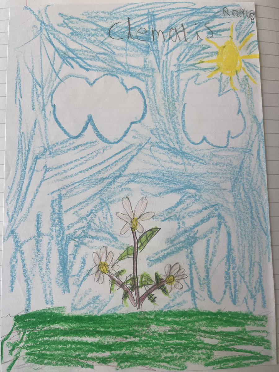 Class3_stmarys's tweet photo. Class 3 have drawn some beautiful wild plants this week in science. The use of oil pastels were really effective for the finished product. Can you remember a wild plant? @stmarysderby https://t.co/gT8c7GvtPu